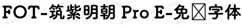 FOT-筑紫明朝 Pro E字体转换